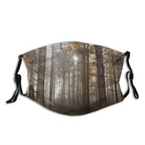 yanfind Idyll Autumn Park Branch Maple Mood Dawn Forest Silent Sunbeam Sun Beautiful Dust Washable Reusable Filter and Reusable Mouth Warm Windproof Cotton Face