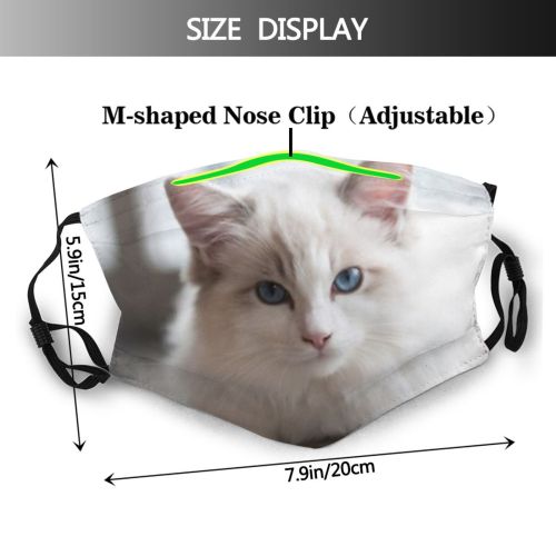 yanfind Portrait Pet Kid Kitten Fluffy Fur Young Cat Kitty Cute Bicolor Ragdoll Dust Washable Reusable Filter and Reusable Mouth Warm Windproof Cotton Face