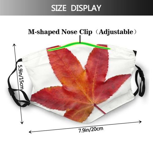 yanfind Flowering Deciduous Leaf Maple Gum Leaf Plant Flower Tree Sweet Plant Autumn   Dust Washable Reusable Filter and Reusable Mouth Warm Windproof Cotton Face