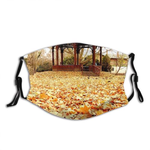 yanfind Deciduous Pavilion Landscape Landscape Leaf Plant Tree Gazebo Grass Autumn Natural Autumn Dust Washable Reusable Filter and Reusable Mouth Warm Windproof Cotton Face
