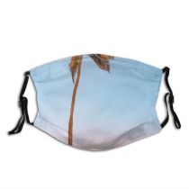 yanfind Idyllic Tropical Oceanside Exotic Dawn Seaside Sea Summertime Beach Palm Tree Horizon Dust Washable Reusable Filter and Reusable Mouth Warm Windproof Cotton Face