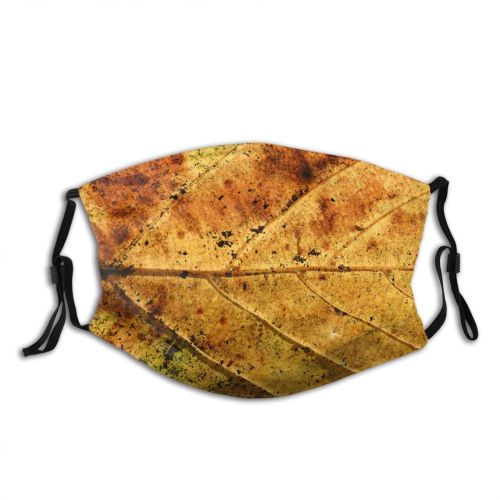 yanfind Texture Grow Death Wood Golden Autumn Growth Leaves Leave Plant Fall Die Dust Washable Reusable Filter and Reusable Mouth Warm Windproof Cotton Face