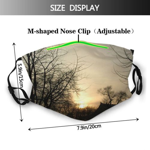yanfind Cloud Frozen Wind Landscape Sunlight Sky Tree Cool Branch Atmosphere Morning Natural Dust Washable Reusable Filter and Reusable Mouth Warm Windproof Cotton Face