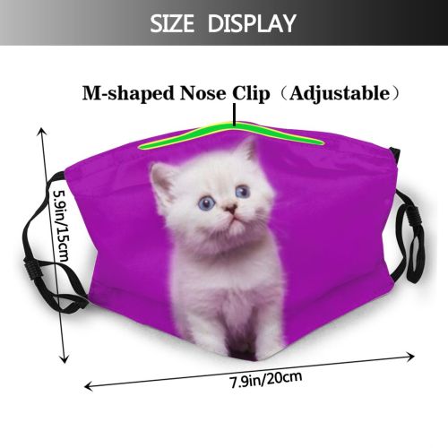 yanfind Asks Pat Fur Apps Little Cat Game British Cute Straight Striped Wool Dust Washable Reusable Filter and Reusable Mouth Warm Windproof Cotton Face