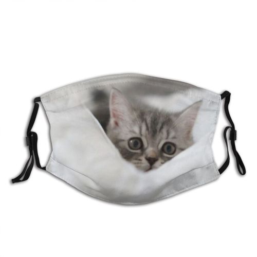 yanfind Fur Young Little Cat Kitty Cute Kittens Shorthair Grey Pillow Interesting Baby Dust Washable Reusable Filter and Reusable Mouth Warm Windproof Cotton Face