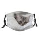 yanfind Fur Young Little Cat Kitty Cute Kittens Shorthair Grey Pillow Interesting Baby Dust Washable Reusable Filter and Reusable Mouth Warm Windproof Cotton Face