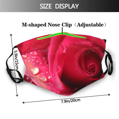 yanfind Flower Garden Flower Moisture Hybrid Roses France Macro May Spring Petal Rose Dust Washable Reusable Filter and Reusable Mouth Warm Windproof Cotton Face