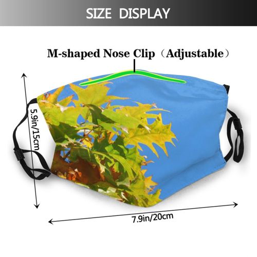 yanfind Sky Buds Sun Autumn Woody Leaves Branch Sky Plant Maple Bush Bud   Dust Washable Reusable Filter and Reusable Mouth Warm Windproof Cotton Face