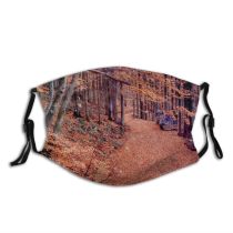 yanfind State Trail Natural Autumn Woody Forest Leaf Tree Forest Autumn Biome Park Dust Washable Reusable Filter and Reusable Mouth Warm Windproof Cotton Face