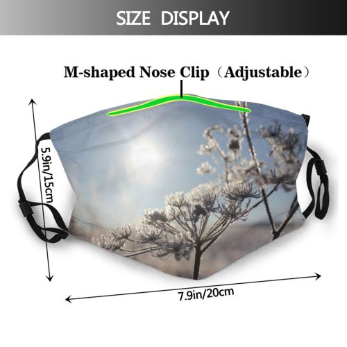yanfind Winter Frozen Frost Freeze Winter Natural Sun Frosty Landscape Sky Ice Branch Dust Washable Reusable Filter and Reusable Mouth Warm Windproof Cotton Face