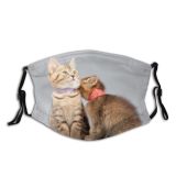 yanfind Isolated Whisker Fur Life Young Little Cat Kitty British Cute Real Active Dust Washable Reusable Filter and Reusable Mouth Warm Windproof Cotton Face