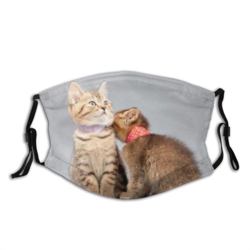 yanfind Isolated Whisker Fur Life Young Little Cat Kitty British Cute Real Active Dust Washable Reusable Filter and Reusable Mouth Warm Windproof Cotton Face
