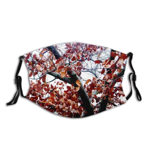yanfind Dead Winter Spring Sky Autumn Branches Woody Falling Leaves Plant Autumnal Branch Dust Washable Reusable Filter and Reusable Mouth Warm Windproof Cotton Face