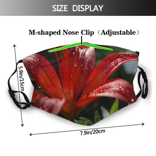 yanfind Lily Foxglove Plant Flowers Petal Flower Daylily Flowering Lilies Asiatic Lily Digitalis Dust Washable Reusable Filter and Reusable Mouth Warm Windproof Cotton Face