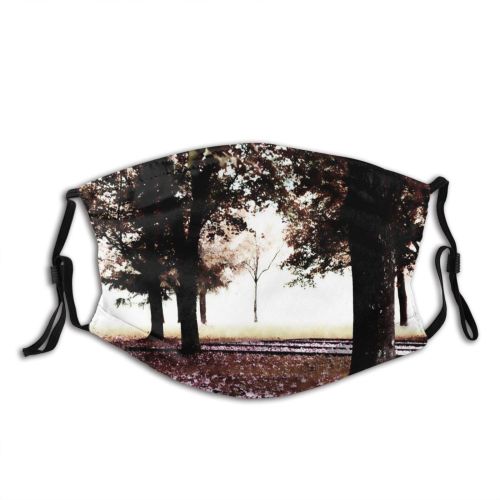 yanfind Death Natural Atmospheric Autumn Sad Woody Landscape Sky Light Branch Feeling Leaf Dust Washable Reusable Filter and Reusable Mouth Warm Windproof Cotton Face