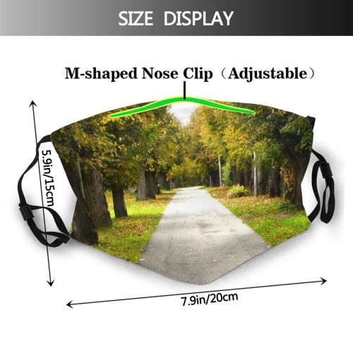 yanfind Lane Road Leaves Leaf Leaf Sky Tree Tree Grass Road Autumn Autumn Dust Washable Reusable Filter and Reusable Mouth Warm Windproof Cotton Face