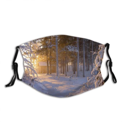 yanfind Winter Sunlight Landscape Tree Barn Forest Winter Natural Freezing Sun Snow Frost Dust Washable Reusable Filter and Reusable Mouth Warm Windproof Cotton Face