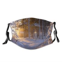 yanfind Winter Sunlight Landscape Tree Barn Forest Winter Natural Freezing Sun Snow Frost Dust Washable Reusable Filter and Reusable Mouth Warm Windproof Cotton Face
