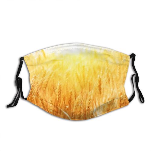 yanfind Cereal Wheat Ears Field Bread Grow Farming Dramatic Farm  Landscaped Light Dust Washable Reusable Filter and Reusable Mouth Warm Windproof Cotton Face