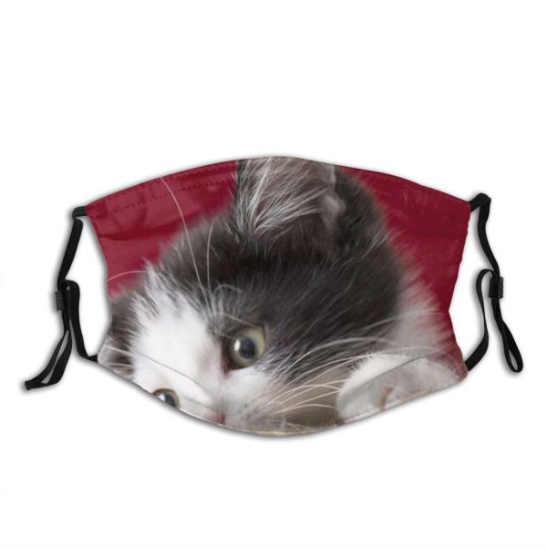 yanfind Loyal Lick Whisker Fur Vertebrates Cat Learn Enjoy Kitty Streuner Hide Soft Dust Washable Reusable Filter and Reusable Mouth Warm Windproof Cotton Face