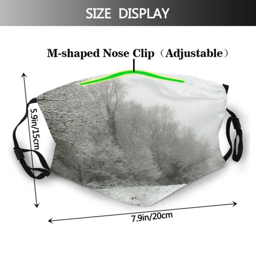 yanfind Winter Freeze Snowy Icey Christmas Field Winter Natural Atmospheric Landscape Sky Ice   Dust Washable Reusable Filter and Reusable Mouth Warm Windproof Cotton Face