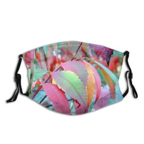 yanfind Flowering Leaves Leaf Sumac Leaf Plant Fall Tree Smooth Plant Botany Autumn Dust Washable Reusable Filter and Reusable Mouth Warm Windproof Cotton Face