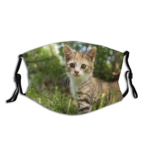 yanfind Attractive Fur Young Little Cat Kitty Cute Cheerful Summer Grass Pretty Playing Dust Washable Reusable Filter and Reusable Mouth Warm Windproof Cotton Face