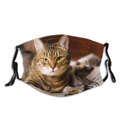 yanfind Comfort Lovely Fur Young Striped Cat Cute Relaxed Nose Yard Summer Soft Dust Washable Reusable Filter and Reusable Mouth Warm Windproof Cotton Face