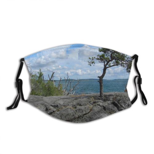 yanfind Coast Shore Vegetation Sky Sky Tree Archipelago Rocks Stockholm Tree Rock Ocean Dust Washable Reusable Filter and Reusable Mouth Warm Windproof Cotton Face