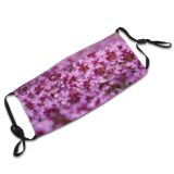 yanfind Blossom Spring Flower Botany Stem Garden Blooming Abundance Bud Smell Meadow Pistil Dust Washable Reusable Filter and Reusable Mouth Warm Windproof Cotton Face