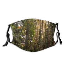yanfind Idyllic Tropical Calm Unpaved Flora Jungle Sunbeams Forest Plants Rays Tranquil Scenery Dust Washable Reusable Filter and Reusable Mouth Warm Windproof Cotton Face