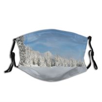 yanfind Pine Winter Fir Geological Sky Tree Plant Frost Winter Freezing Atmospheric Snow Dust Washable Reusable Filter and Reusable Mouth Warm Windproof Cotton Face