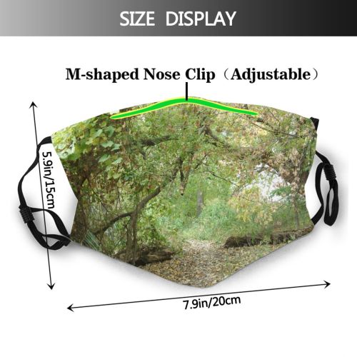 yanfind Community Leaves Forest Vegetation Landscape Plant Fall Tree Forest Woods Natural Pathway Dust Washable Reusable Filter and Reusable Mouth Warm Windproof Cotton Face