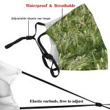 yanfind Hordeum Rye Barley Wheat Plant Crop Agriculture Grass Triticale Einkorn Crop Wheat Dust Washable Reusable Filter and Reusable Mouth Warm Windproof Cotton Face