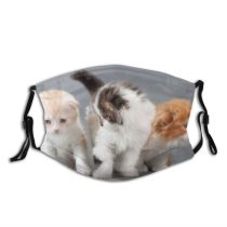 yanfind Brothers Shaggy Affectionate Cute Kittens Variegated Scottish Beautiful Pet Cats Fluffy Fold Dust Washable Reusable Filter and Reusable Mouth Warm Windproof Cotton Face