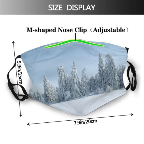yanfind Winter Forest Sky Slope Spruce Tree Forest Winter Freezing Atmospheric Snow Fir Dust Washable Reusable Filter and Reusable Mouth Warm Windproof Cotton Face