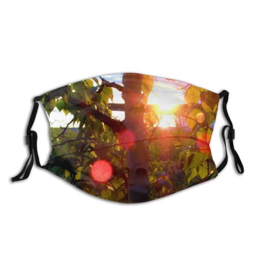 yanfind Flare Sunlight Lakeshore Leaf Sky Plant Tree Lens Branch Botany Light Plant Dust Washable Reusable Filter and Reusable Mouth Warm Windproof Cotton Face