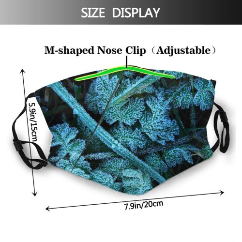 yanfind Winter Frozen Frost Freeze Winter Fern Autumn Leaves Vegetation Plant Flower Leaf Dust Washable Reusable Filter and Reusable Mouth Warm Windproof Cotton Face