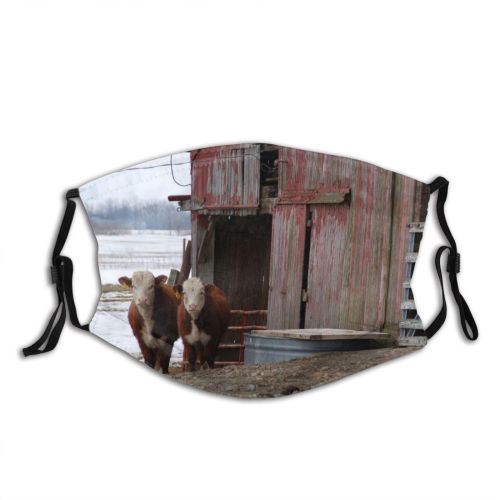 yanfind Rural Barn Farm Bovine Fence Barn Wood Winter Area Cow Snout Calf Dust Washable Reusable Filter and Reusable Mouth Warm Windproof Cotton Face