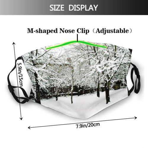 yanfind Winter Night Scotland Winter Natural Falling Landscape Branch Snow Tree Tree Freezing Dust Washable Reusable Filter and Reusable Mouth Warm Windproof Cotton Face