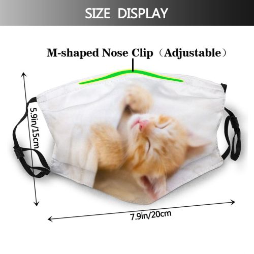 yanfind Fur Young Little Kitty Cute Kittens Cozy Shorthair Purr Knit Cable Ginger Dust Washable Reusable Filter and Reusable Mouth Warm Windproof Cotton Face