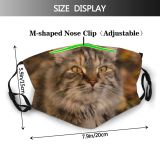 yanfind Cat Kitty Backyard Cute Downy Hour Pleasure Fuzzy Steadfast Warm Open Tones Dust Washable Reusable Filter and Reusable Mouth Warm Windproof Cotton Face