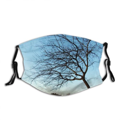 yanfind Winter Natural Woody Invierno Landscape Sky Fall Branch Sunny Tree Tree Hojas Dust Washable Reusable Filter and Reusable Mouth Warm Windproof Cotton Face