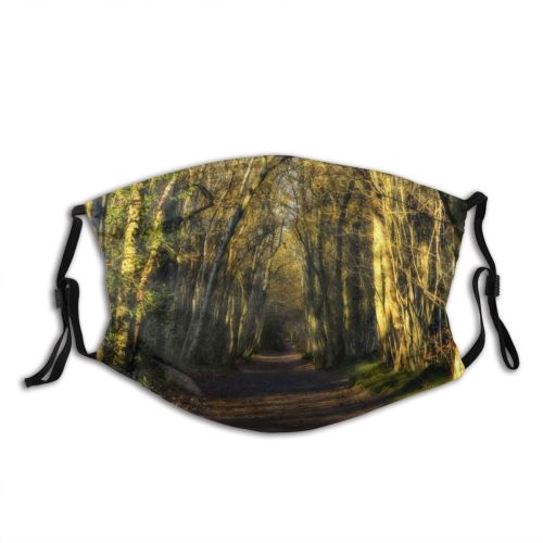 yanfind Winter Path Natural Growth Woody Landscape Forest Sunlight Tree Forest Light Trees Dust Washable Reusable Filter and Reusable Mouth Warm Windproof Cotton Face
