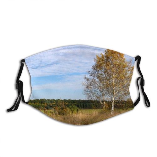 yanfind Grassland Colours Landscape Sky Plant Tree Tree Plant Grass Natural Birch Autumn Dust Washable Reusable Filter and Reusable Mouth Warm Windproof Cotton Face