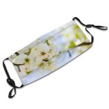 yanfind May Flower Blossum Spring Sky Limb Spring Cherry Leaves Branch Plant Flowers Dust Washable Reusable Filter and Reusable Mouth Warm Windproof Cotton Face