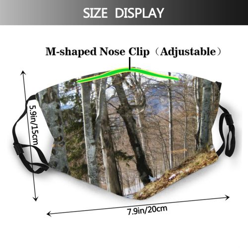 yanfind Winter Winter Natural Growth Woody Leaves Birch Snow Mountain Pine Forest Hardwood Dust Washable Reusable Filter and Reusable Mouth Warm Windproof Cotton Face