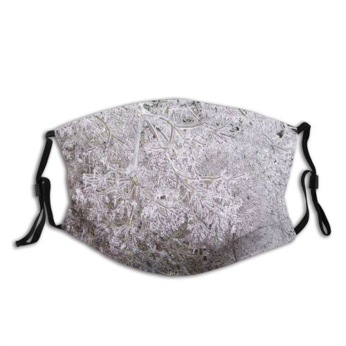 yanfind Covered Winter Vegetation Plant Twig Tree Ice Ice Plant Frost Branch Winter Dust Washable Reusable Filter and Reusable Mouth Warm Windproof Cotton Face