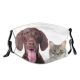 yanfind Friends Isolated Lovely Whisker Together Tubby Striped Cat Kitty Cute Friendly Pointer Dust Washable Reusable Filter and Reusable Mouth Warm Windproof Cotton Face