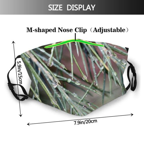 yanfind Fir Spruce Shortstraw Loblolly Columbian Bushes Pine Plants Singleleaf Rain Trees Lodgepole Dust Washable Reusable Filter and Reusable Mouth Warm Windproof Cotton Face